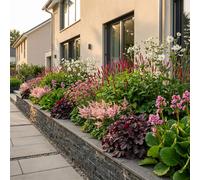 Pack de bordure - Ombre - 24 plantes vivaces - 3 m² - Couleurs variées - Peu d'entretien - 20-50cm - Ø11cm - Plante de jardin