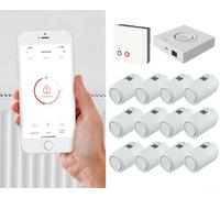 Pack de démarrage Danfoss Ally 12 avec unité de commutation