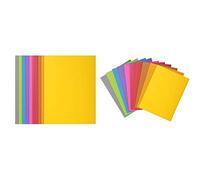 Pack Exacompta - A/Paquet de 100 chemises ROCK"S certifiées PEFC, dim 24x32cm, couleurs assorties + B/Paquet de 100 sous-chemises ROCK"S certifiées PEFC, dim 22x31cm, couleurs assorties