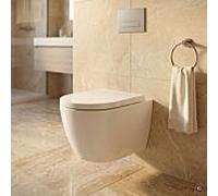 Pack WC suspendu sans bride CARLDIX x LAUFEN A91004000101 Blanc, avec abattant SoftClose