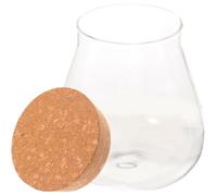 PACKOVE Bouteille Décorative en Verre Bouchon en Liège, pour Micro-Paysage, Rangement Pratique et Design Créatif pour Décoration Maison