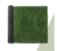 Paco Home Gazon Synthétique Jardin Balcon Terrasse Tapis Gazon Intérieur Extérieur Lavable Naturel Doux Effet Nature, Modèle:25mm, Dimension:100x200cm
