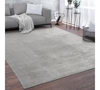 Paco Home Tapis De Salon Tapis Poils Ras Design Monochrome Moderne Argent, Dimension:60x100 cm