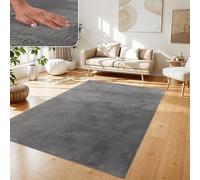 Paco Home Tapis Salon Fausses Fourrures Doux Lavable Moderne Élégant Facile À Entretenir Effet Fourrure Uni Brillant Douillet À Poils Longs, Dimension:240x340 cm, Couleur:Anthracite