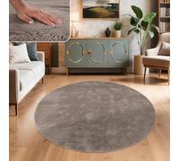Paco Home Tapis Salon Fausses Fourrures Doux Lavable Moderne Élégant Facile À Entretenir Effet Fourrure Uni Brillant Douillet À Poils Longs, Dimension:120 cm Rond, Couleur:Taupe