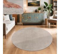 Paco Home Tapis Salon Fausses Fourrures Doux Lavable Moderne Élégant Facile À Entretenir Effet Fourrure Uni Brillant Douillet À Poils Longs, Dimension:120 cm Rond, Couleur:Beige