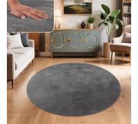 Paco Home Tapis Salon Fausses Fourrures Doux Lavable Moderne Élégant Facile À Entretenir Effet Fourrure Uni Brillant Douillet À Poils Longs, Dimension:160 cm Rond, Couleur:Anthracite
