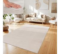 Paco Home Tapis Salon Fausses Fourrures Doux Lavable Moderne Élégant Facile À Entretenir Effet Fourrure Uni Brillant Douillet À Poils Longs, Dimension:240x340 cm, Couleur:Crème