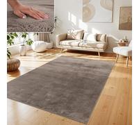 Paco Home Tapis Salon Fausses Fourrures Doux Lavable Moderne Élégant Facile À Entretenir Effet Fourrure Uni Brillant Douillet À Poils Longs, Dimension:200x280 cm, Couleur:Taupe