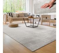 Paco Home Tapis Salon Moelleux Ultra Doux à Poils Courts - Antidérapant, Lavable, Confort Idéal pour Salon et Chambre, Dimension:140x200 cm, Couleur:Argent