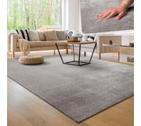 Paco Home Tapis Salon Moelleux Ultra Doux à Poils Courts - Antidérapant, Lavable, Confort Idéal pour Salon et Chambre, Dimension:160x220 cm, Couleur:Gris