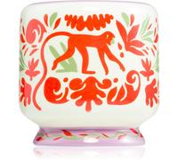 Paddywax A Dopo Jungle bougie parfumée 226 g
