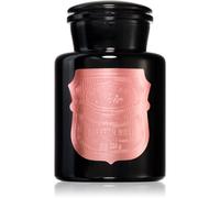 Paddywax Apothecary Noir Saffron Rose bougie parfumée 226 g