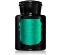 Paddywax Apothecary Noir Tabac & Pine bougie parfumée 226 g