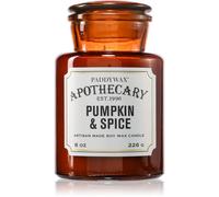 Paddywax Apothecary Pumpkin Spice bougie parfumée 226 g