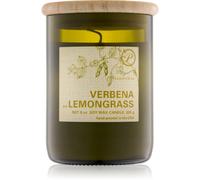 Paddywax Eco Green Verbena & Lemongrass bougie parfumée 226 g