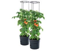 PAFEN Lot de 2 pots de tomates avec film de protection - 392 x 1530 mm - Tomato Grower Plantes tomate Jardin Terrasse Film de protection des plantes