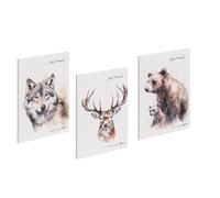 Pagna 20384-25 Lot de 3 cahiers d'amitié Save me n°5 60S