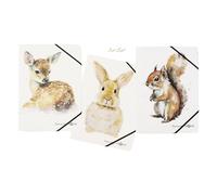 Pagna 21654-25 Save me No.4 Lot de 3 chemises à élastique A4 assorties