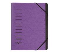 Pagna 40059-10 Trieur à 12 compartiments Aubergine