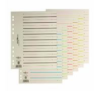 Pagna 44063-02 Pack de 100 intercalaires cartonnés Easy Rip pour répertorier jusqu'à 20 pages (Bleu) (Import Royaume Uni)
