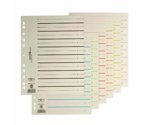 Pagna 44063-02 Pack de 100 intercalaires cartonnés Easy Rip pour répertorier jusqu'à 20 pages (Bleu) (Import Royaume Uni)
