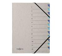PAGNA Trieur Easy Grey 44312-02 A4 12 compartiments Bleu