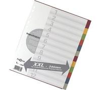 Pagna Intercalaires en carton Excès Largeur/32007-20 couleur 12 pièces