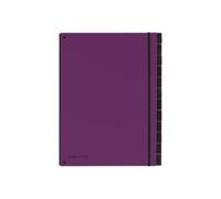 Pagna Office Trend Trieur 12 Compartiments 12 Positions 20 Mm A4 À Onglets Violet