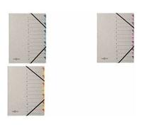 PAGNA Trieur 'Easy Grey', A4, 12 compartiments, gris / lilas G