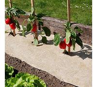Paillage naturel 75 x 500 cm - pour jardin et potager 100% biodégradable - 500 g/m2