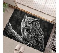 Paillasson 45X75Cm Animaux Sauvages Réalistes Tapis Entrée Intérieur | Forêt Naturelle Des Hiboux Gris Anthracite, Tapis De Porte Lavable Poils Courts Antidérapant Doux Pour Chambre Entrée Cuisine