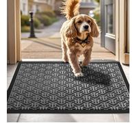 Paillasson Attrape-Poussière, Tapis de Sol Antidérapant, Tapis d'Entrée pour Chien, Entrée, Porte et Couloir, Gris, 60 x 90 cm