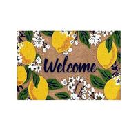 Paillasson d'entrée | 60 x 40 cm antidérapant et lavable, pour sol, maison, salon, chambre à coucher, salle de bain, cuisine, appartement, ferme, restaurant