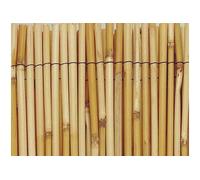 INTERMAS GARDENING Brise Vue H1xL5m en tiges de roseaux naturels Reedcane
