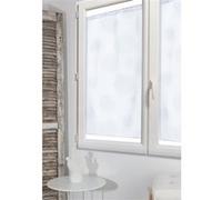 Paire de vitrages transparent blanc l.60 x H.120 cm G