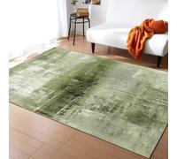 PAJEON Tapis de Design Vert Sauge Géométrique Abstrait, 60 x 90 cm Tapis Moquette de Chambre à Poils Ras, Paillasson Intérieur - pour Chambre à Coucher de Salon