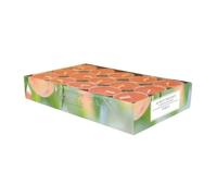pajoma® Lot de 30 bougies chauffe-plat parfumées à la pêche dans une coque en aluminium - Durée de combustion : environ 4 heures - Hauteur : 1,5 cm - Diamètre : 3,5 cm - Qualité supérieure - Pour