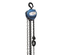 Palan Tralfit 500 kg levée 3 m TRACTEL 272989