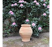 Palatina Werkstatt Amphore en terre cuite résistante à l'hiver 40 cm pour jardin et maison 100 % pièces uniques faites à la main, agave 40 cm