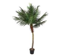 Palmier C-Pot 18feuilles H210