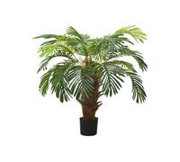 vidaXL Palmier Cycas