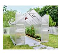 Palram - Serre De Jardin 8.9m² Argent 701944 Gris