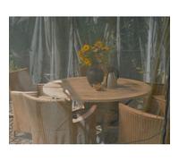 Palram - Set De 6 Moustiquaires Pour Tonnelles 705136