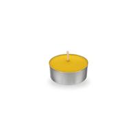Palucart Lot de 50 bougies chauffe-plat avec cire anti-moustiques pour intérieur ou extérieur, jardin