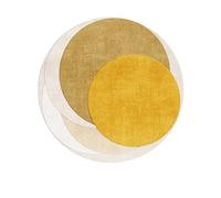 PALVIT Tapis de chevet, 200 x 200 cm, tapis de chambre à poils courts avec fond antidérapant pour canapé, table, salon, cuisine, salle de bain, tapis de sol rond lavable pour décoration d'intérieur