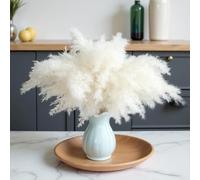 Pampas Séchées Décoration Fleur sechees Naturel DIY Fleurs séchées Bouquet Idéal pour Boho Salon-Mariage Chambre à Coucher et vases (LZGSGO-0108)
