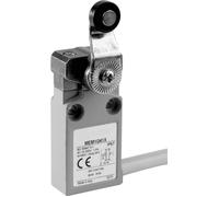 Panasonic MEM1G41ZD MEM1G41ZD Interrupteur de fin de course 24 V 5 A levier à galet IP67 1 pc(s)