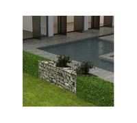 vidaXL Panier Gabion Acier 120x30x50 cm Jardinière Parterre Surélevé Jardin