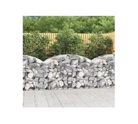 Panier de gabions arqué 150x50x80 100 cm Fer galvanisé